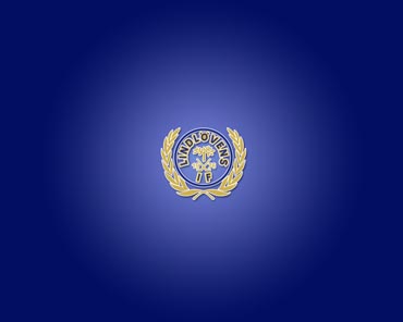 Alternativ 2